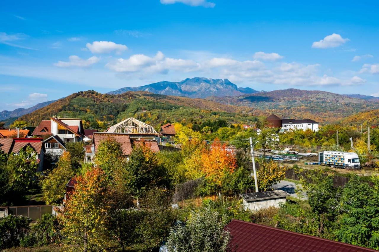 Vila Phoenix Călimăneşti Exterior foto