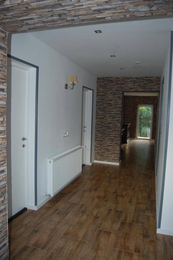 Vila Phoenix Călimăneşti Exterior foto