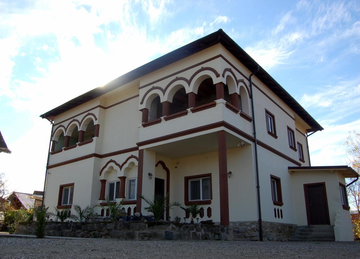 Vila Phoenix Călimăneşti Exterior foto