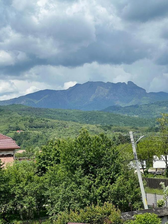 Vila Phoenix Călimăneşti Exterior foto